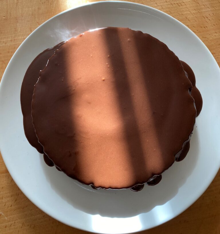 Gâteau au chocolat sans gluten